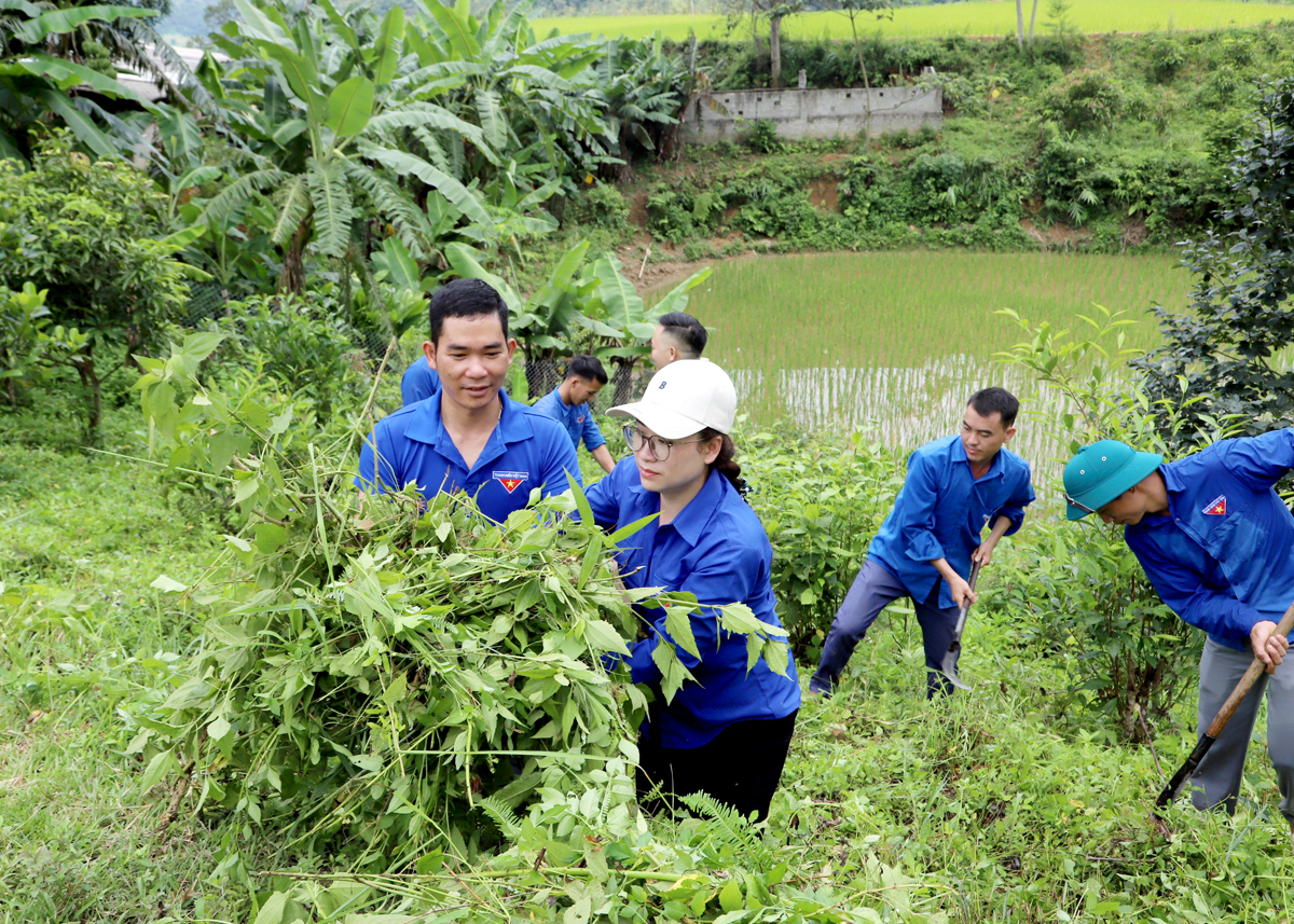 Thanh niên Mèo Vạc giúp đỡ nhân dân cải tạo vườn tạp.