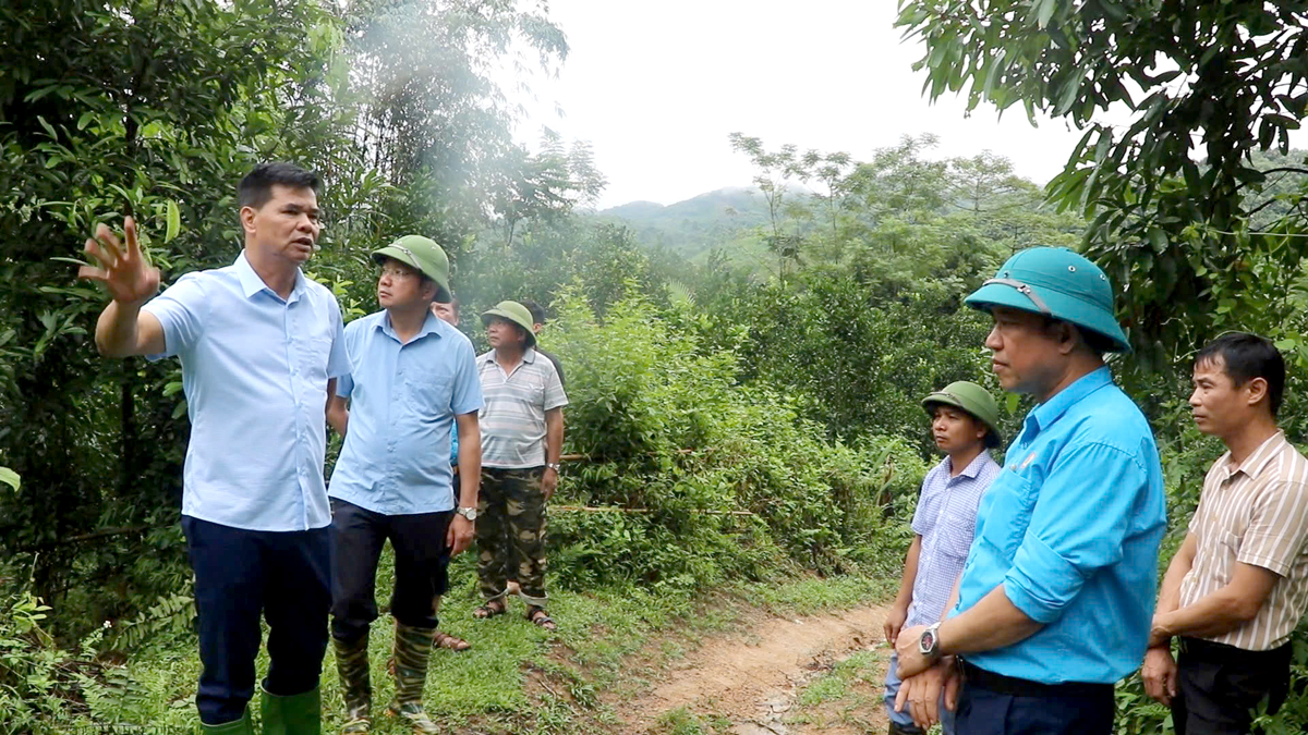 Lãnh đạo huyện Quang Bình kiểm tra khu vực vết nứt tại xóm 2, thôn Chàng Mới, xã Yên Hà để xem xét, đánh giá nguy cơ xảy ra sạt lở. Ảnh: CTV