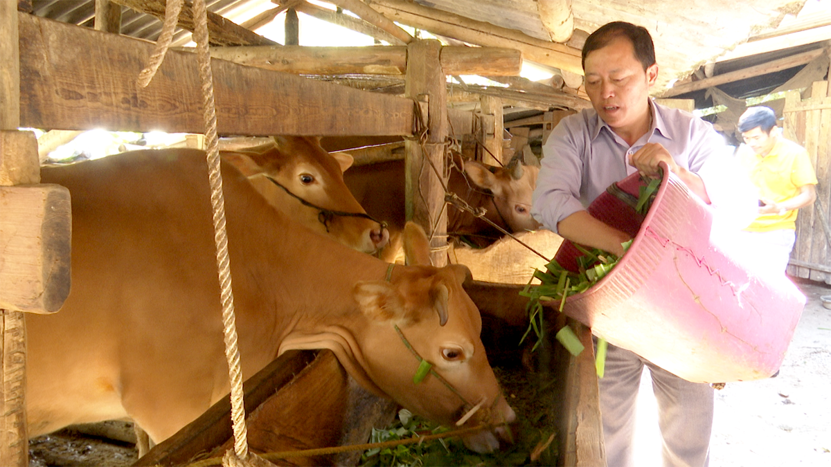 Đồng chí Hầu Dầu Lìn là người tiên phong phát triển kinh tế xóa đói giảm nghèo tại địa phương