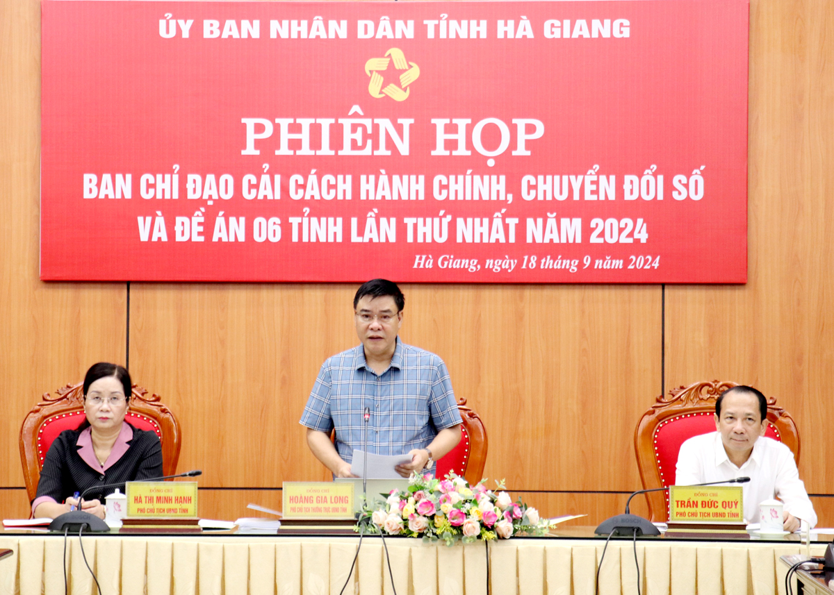 Phó Chủ tịch Thường trực UBND tỉnh Hoàng Gia Long kết luận phiên họp.