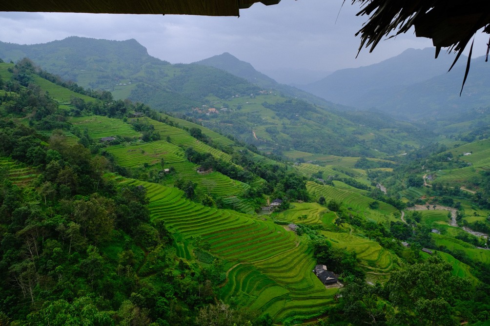 Ruộng bậc thang tập trung tại các xã: Bản Phùng, Nậm Khòa, Bản Nhùng, Bản Luốc, của những người dân thuộc dân tộc: Dao, Mông, La Chí, Pu Péo., Phù Lá, Tày, Nùng...