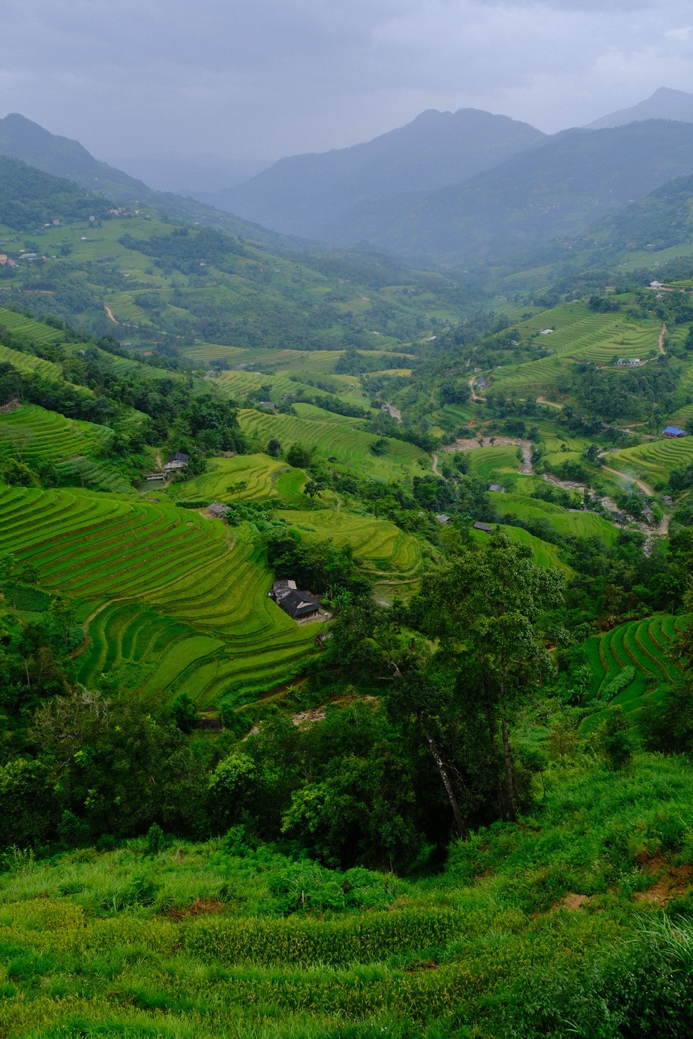 Nếu có cơ hội đến Hoàng Su Phì, đừng quên ghé thăm chợ phiên vào mỗi Chủ nhật. Đây là nơi không chỉ để mua bán, trao đổi hàng hóa mà còn là dịp để đồng bào các dân tộc gặp gỡ, giao lưu văn hóa.