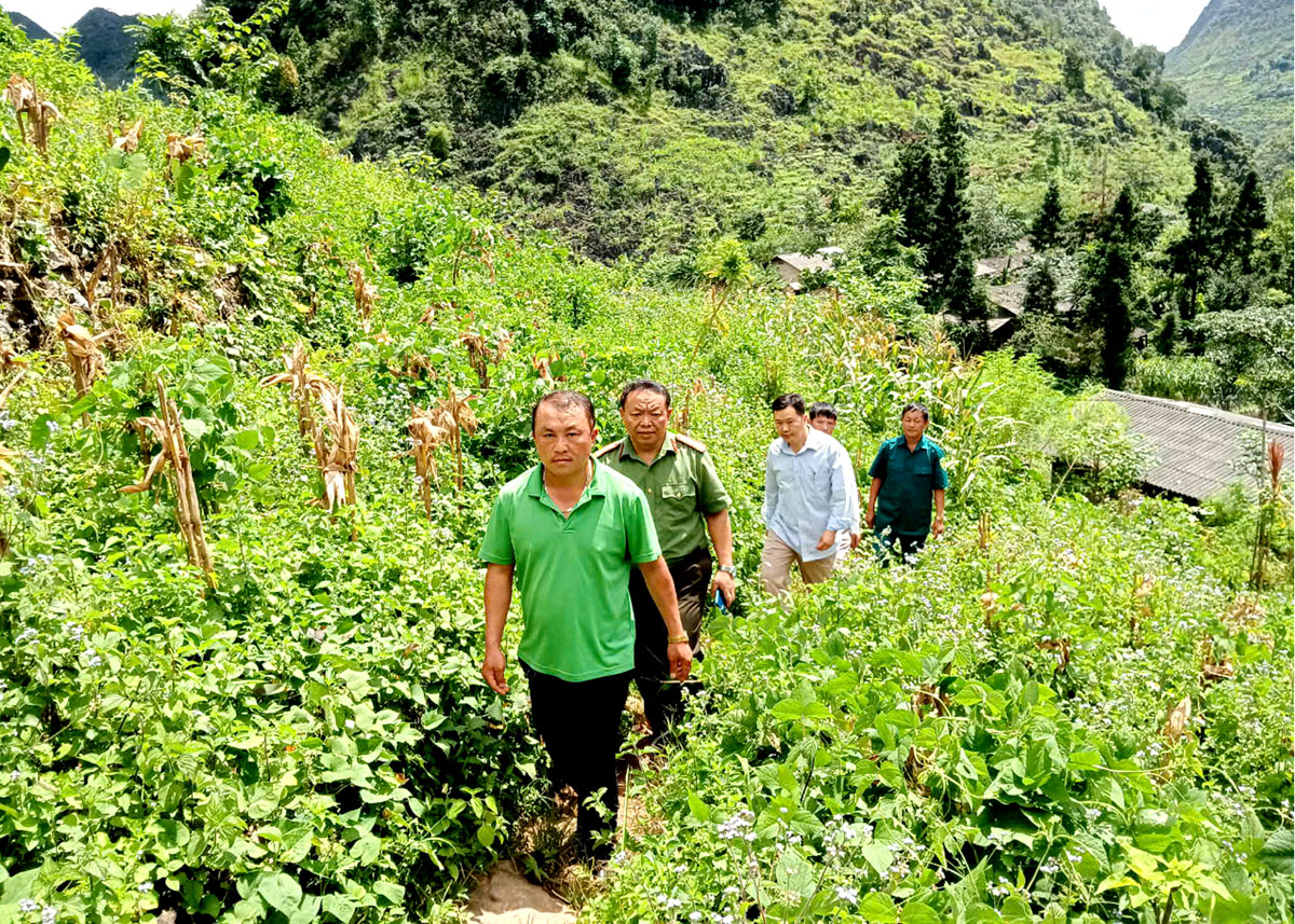 Trưởng thôn Tả Chà Lảng Thào Mí Sính (người đi đầu), xã Sủng Trà, huyện Mèo Vạc xuống hộ dân nắm bắt tâm tư sau khi bỏ tà đạo.