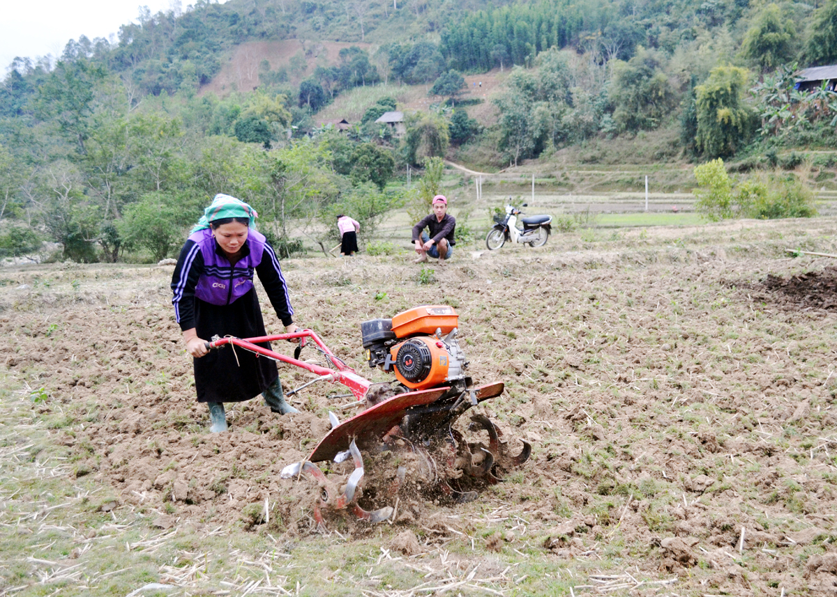 Người dân xã Niêm Sơn (Mèo Vạc) làm đất gieo trồng cây vụ Đông.