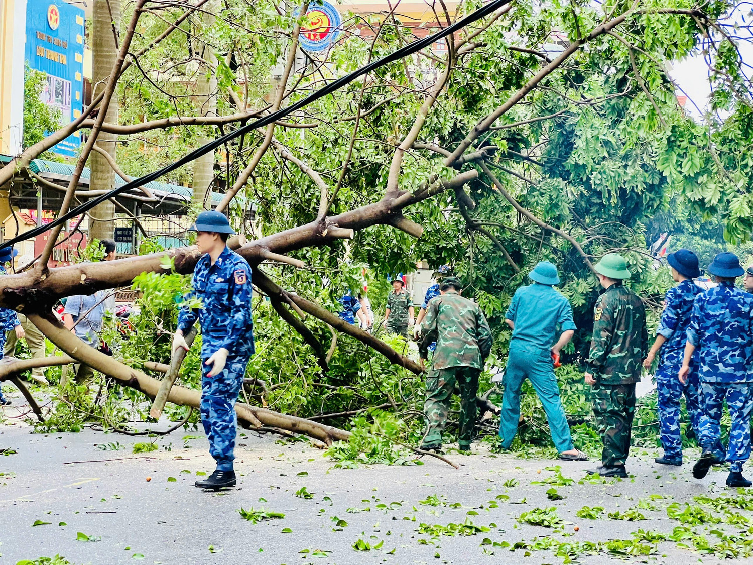 Cây xanh gãy đổ tại Hà Nội do ảnh hưởng của bão số 3 (Ảnh: daibieunhandan.vn)