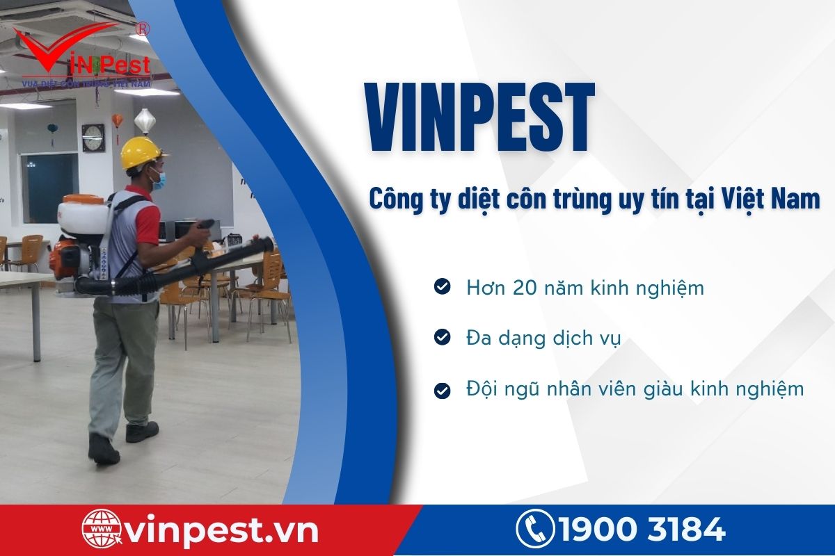 VinPest - Công ty diệt côn trùng uy tín tại Hà Nội