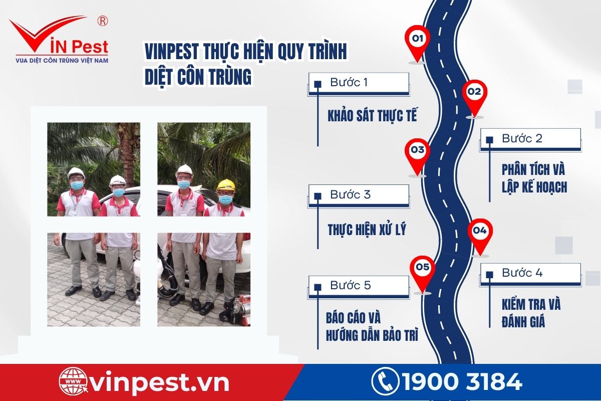 VinPest thực hiện quy trình diệt côn trùng chuyên nghiệp 
