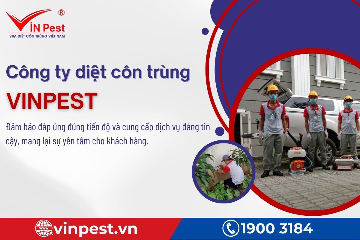 VinPest nhận được đánh giá tốt của khách hàng về dịch vụ diệt côn trùng