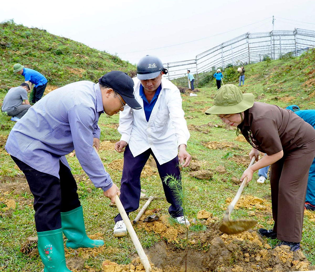 Cán bộ, đảng viên huyện Mèo Vạc tham gia trồng cây tại khu vực vành đai biên giới.
