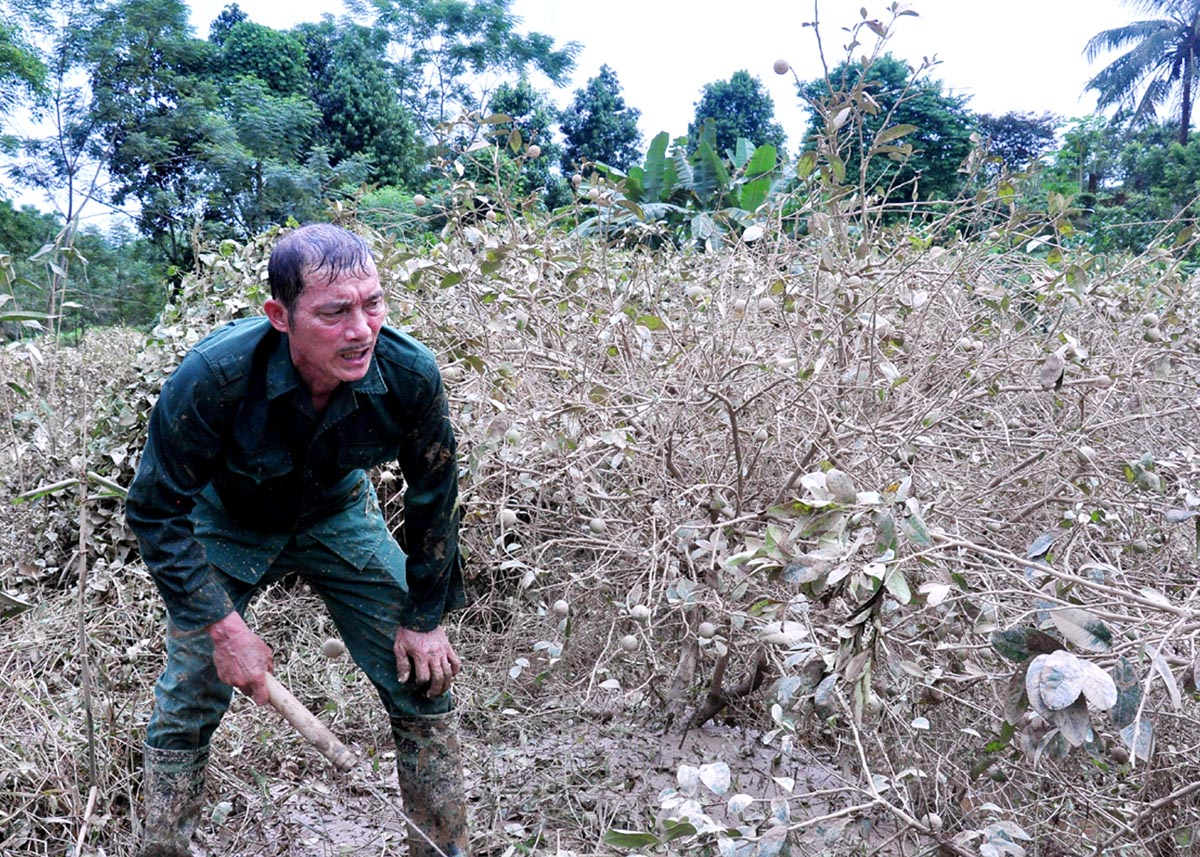 Người dân thôn Thọ Quang, xã Vĩnh Hảo (Bắc Quang) khắc phục thiệt hại sau lũ.