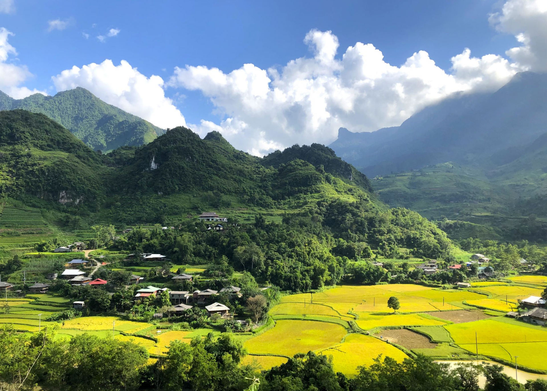 Một cụm dân cư ở Du Già tựa lưng vào núi Ba Tiên, nhìn ra cánh đồng lúa chín, như bức tranh tiên cảnh