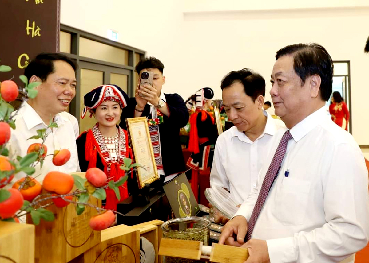 Sản phẩm chè Shan tuyết Hà Giang được giới thiệu tại ngày hội xúc tiến thương mại các sản phẩm đặc trưng của Hà Giang tại Hà Nội.