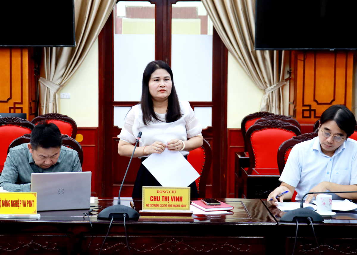 Phó Cục trưởng Cục Kinh tế hợp tác Chu Thị Vinh phát biểu tại buổi làm việc.
