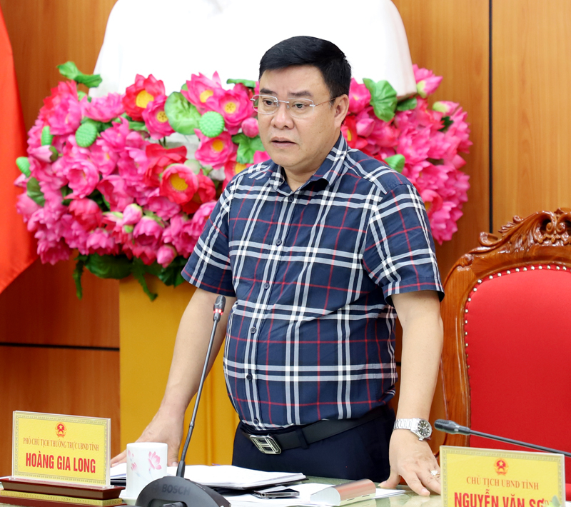 Phó Chủ tịch Thường trực UBND tỉnh Hoàng Gia Long đề nghị các ngành, địa phương quyết tâm, quyết liệt, nỗ lực cao nhất hoàn thành các chỉ tiêu năm 2023.