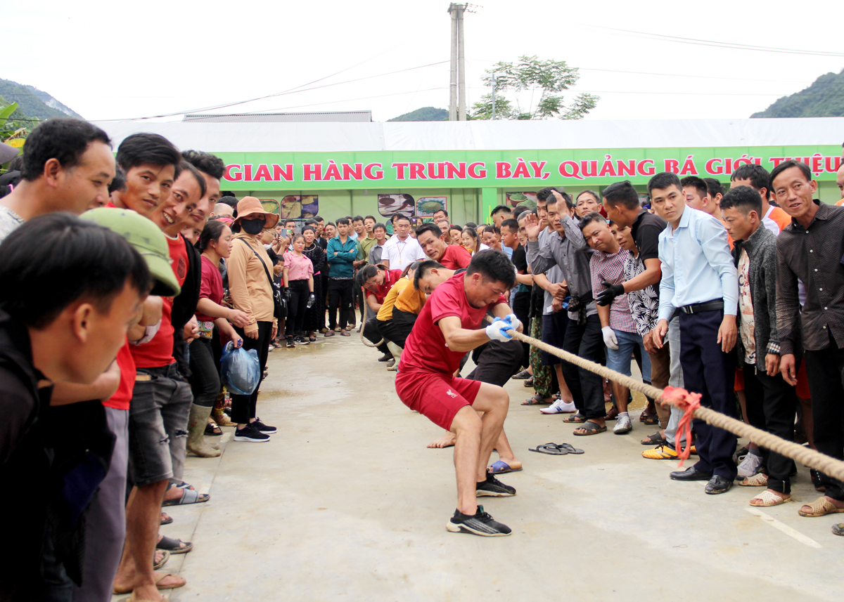 Thi kéo co tại lễ hội.