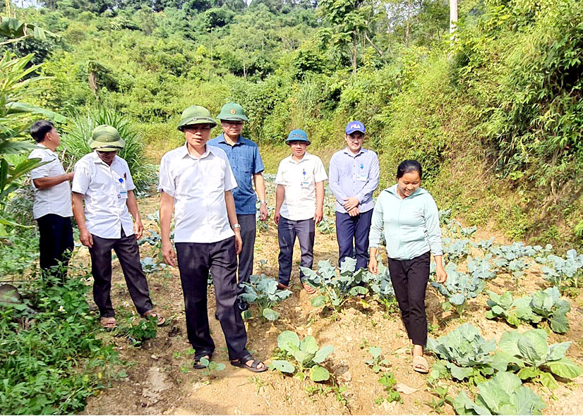 Lãnh đạo huyện Bắc Mê thăm mô hình cải tạo vườn tạp ở thôn Tắn Khâu, xã Phú Nam.
