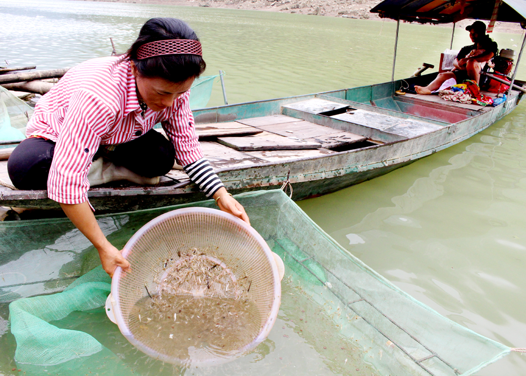Những mẻ tôm làm phong phú thêm bữa ăn và tạo nguồn thu nhập cho người dân dọc bờ sông Gâm.
