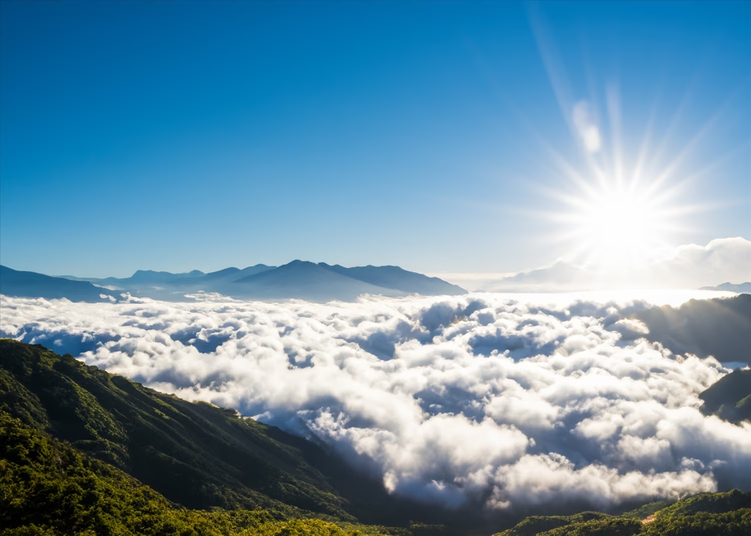 Sea of ​​clouds on top of Tay Con Linh