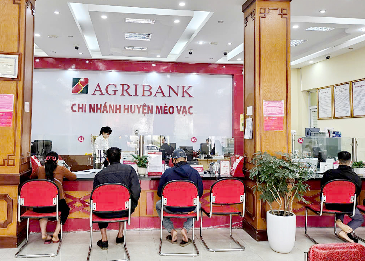 Khách hàng giao dịch tại Agribank chi nhánh Mèo Vạc