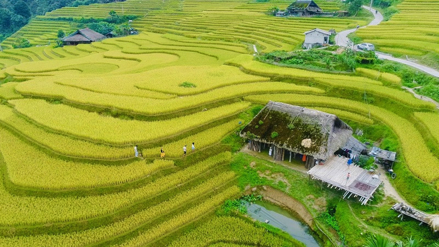 Sà Phìn có ruộng bậc thang tuyệt đẹp