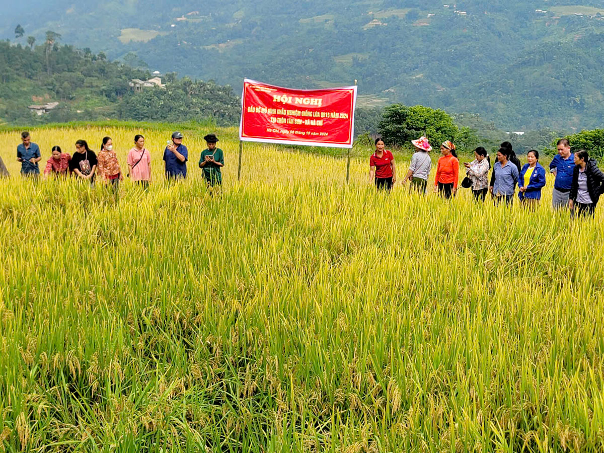 Đông đảo người dân tham gia buổi đánh giá kết quả thực hiện mô hình.