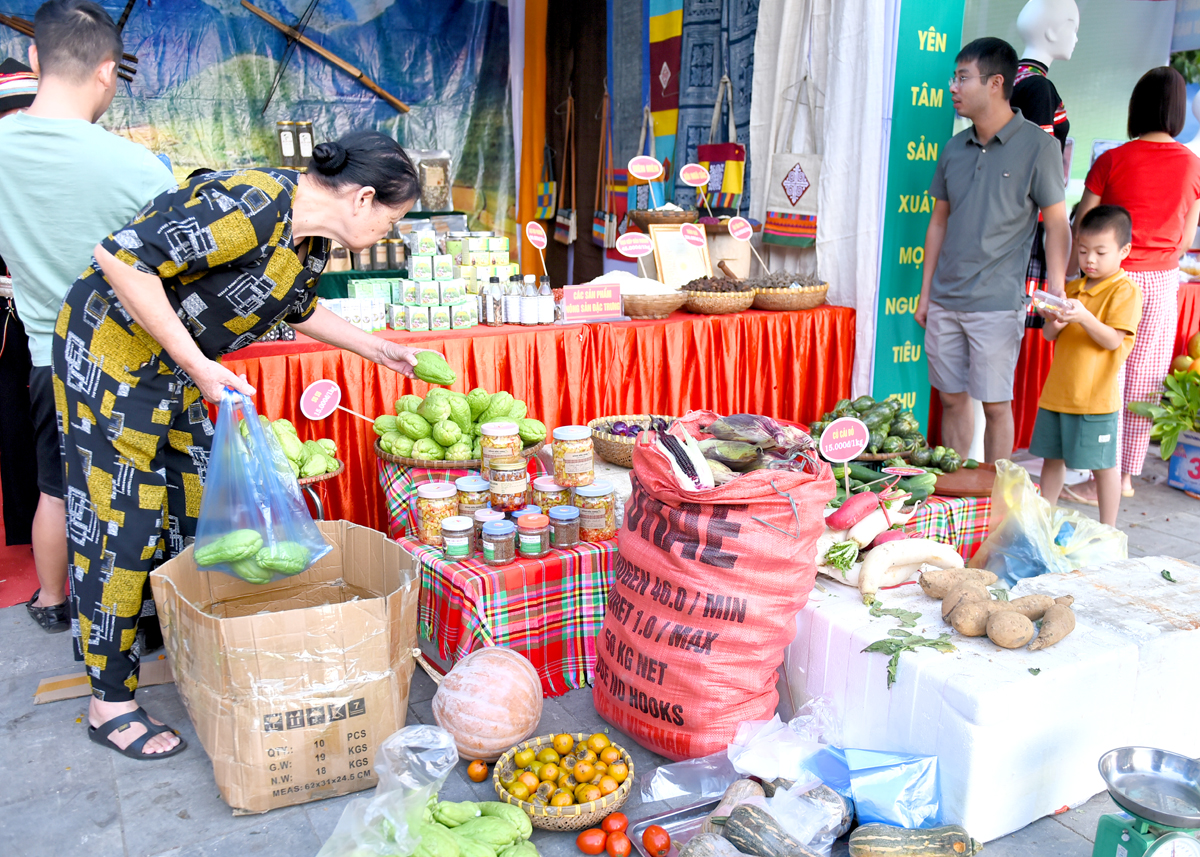 Địa điểm tổ chức hội thi là nơi nhiều người dân tham gia luyện tập thể dục từ đi bộ, chạy bộ… Chị Hoàng Thị Mai chia sẻ: “ Đi bộ qua đây thấy trưng bày nhiều sản phẩm nông sản của các huyện, được chứng nhận về chất lượng, nguồn gốc rõ ràng nên tôi rất an tâm.” 