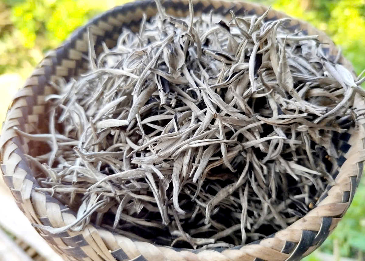 White tea - a high-value product on the market.