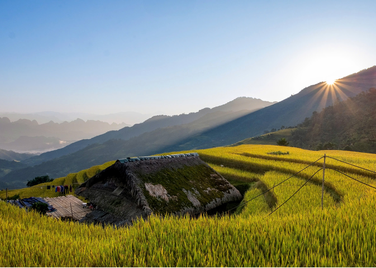 A stilt house in the golden season on the Tay Con Linh mountain range.