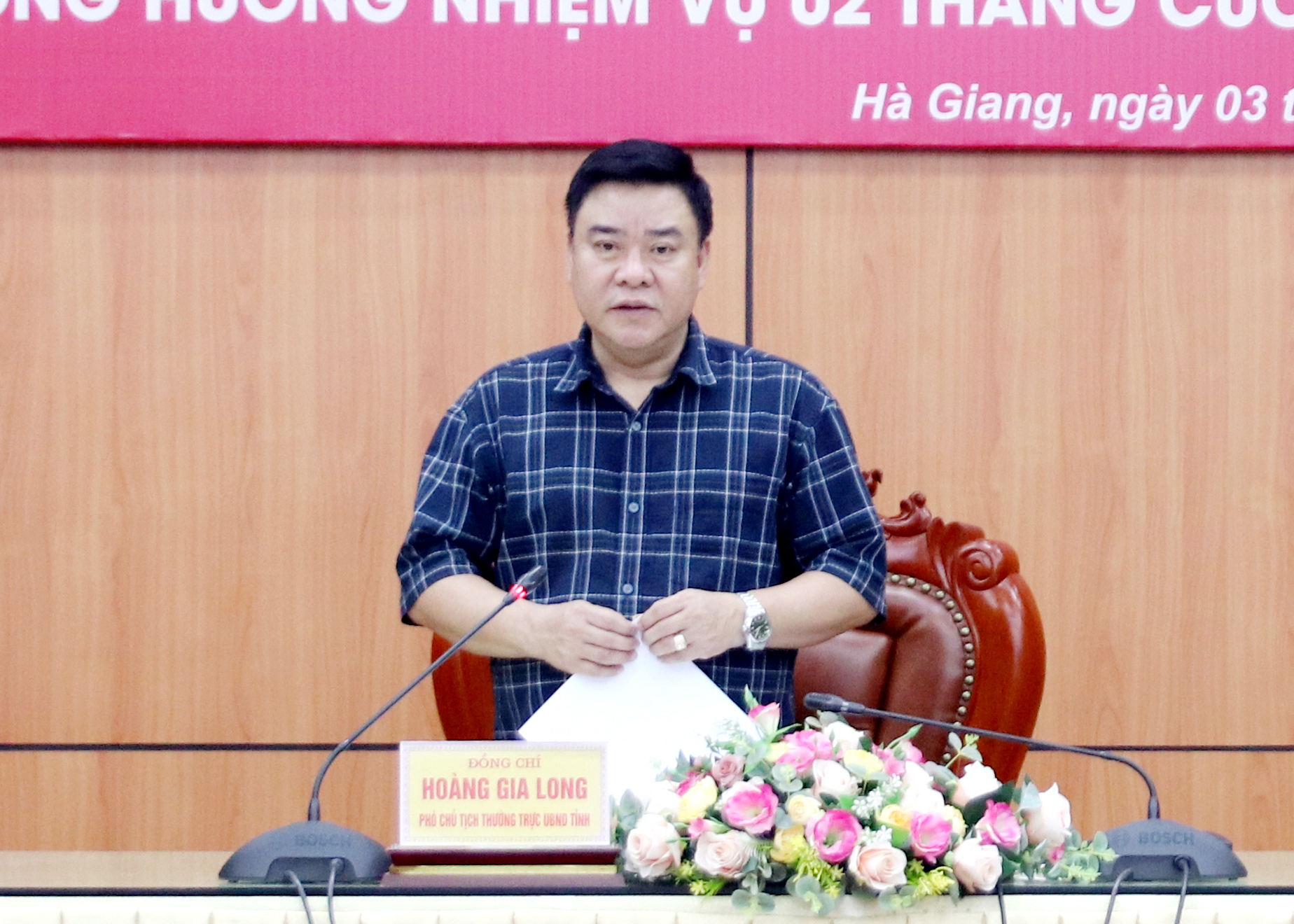 Phó Chủ tịch Thường trực UBND tỉnh Hoàng Gia Long kết luận hội nghị.