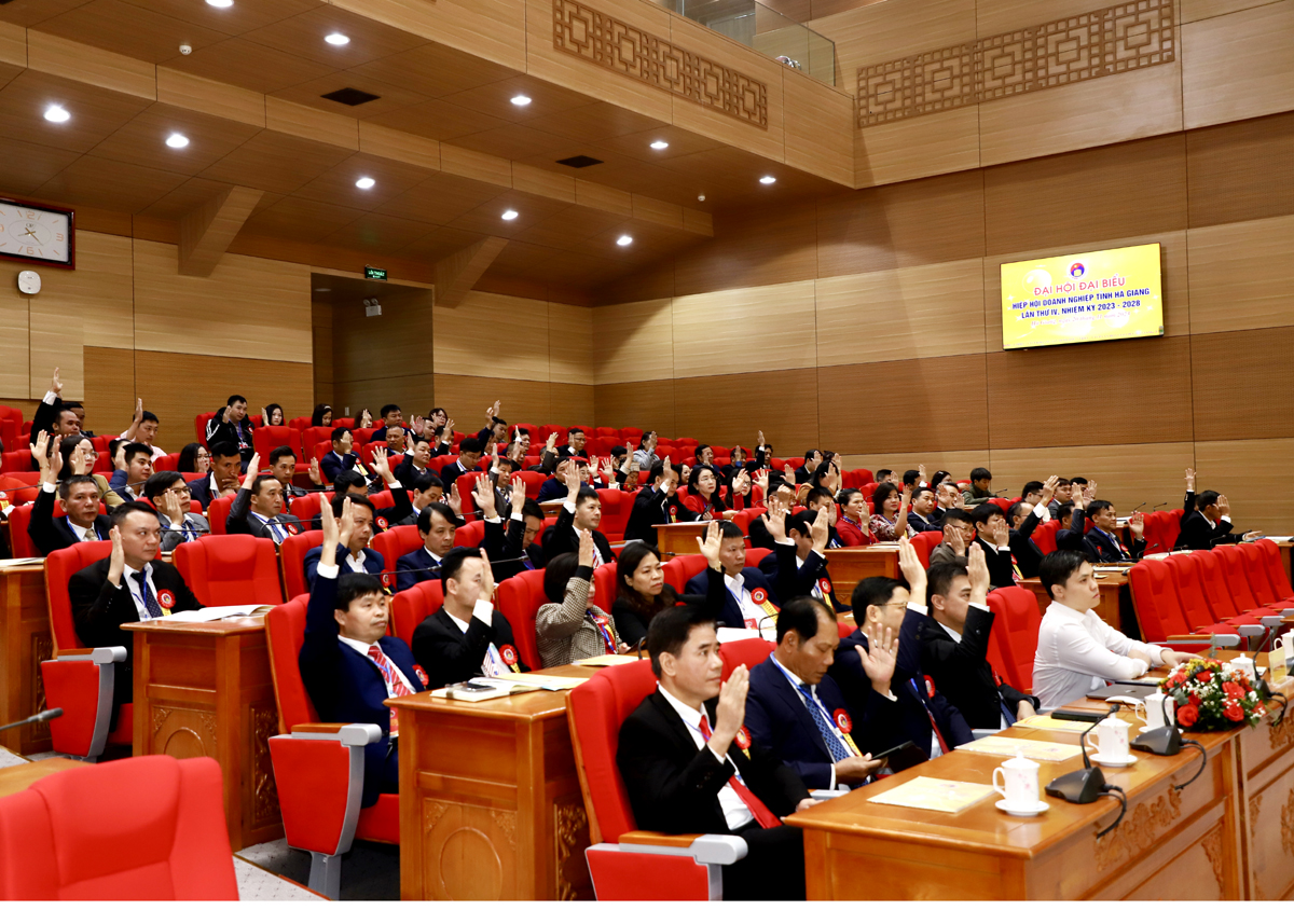 Các đại biểu biểu quyết bầu BCH Hiệp hội Doanh nghiệp tỉnh khoá IV