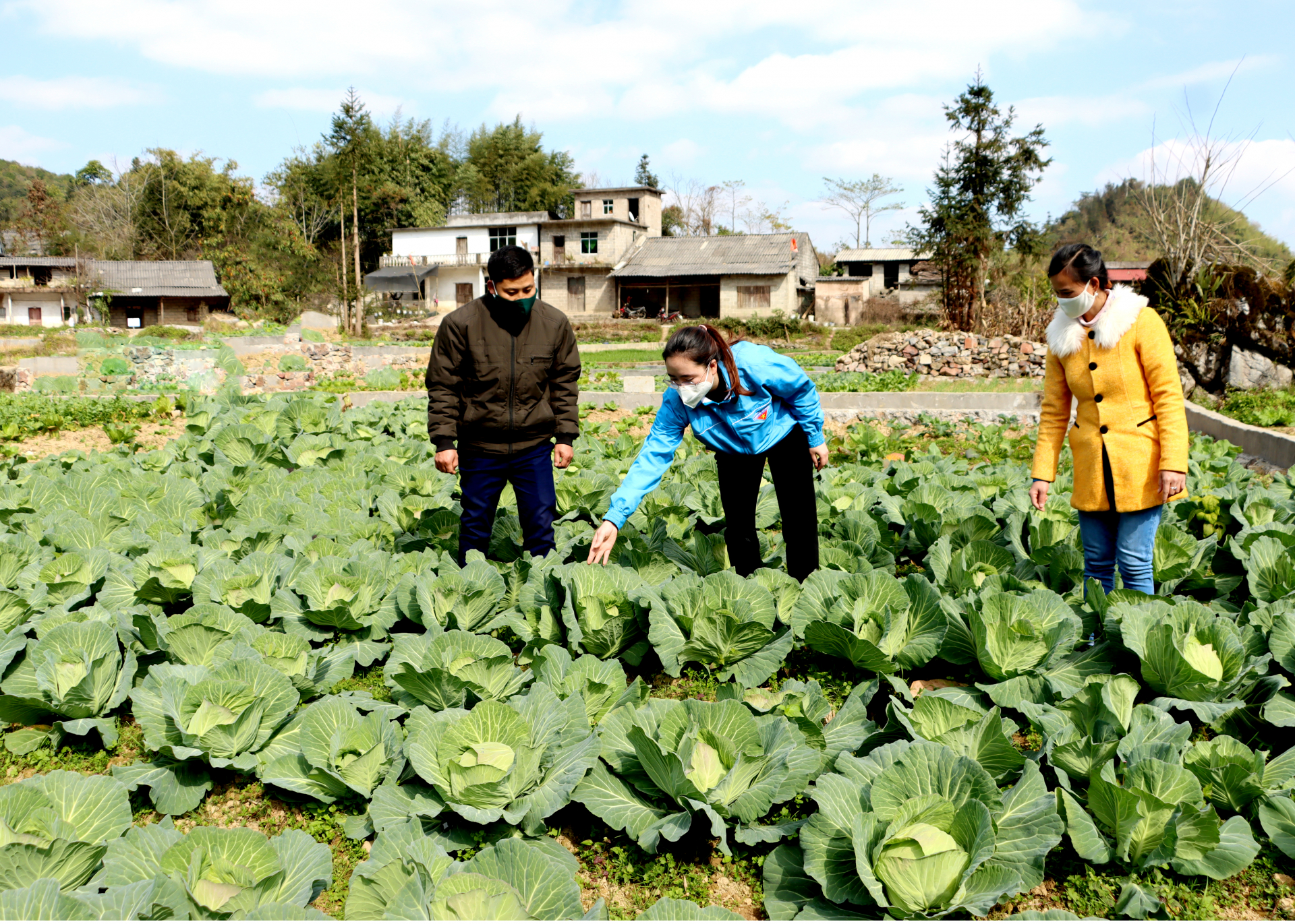 Cán bộ xã Xín Cái kiểm tra diện tích trồng cây vụ Đông.
