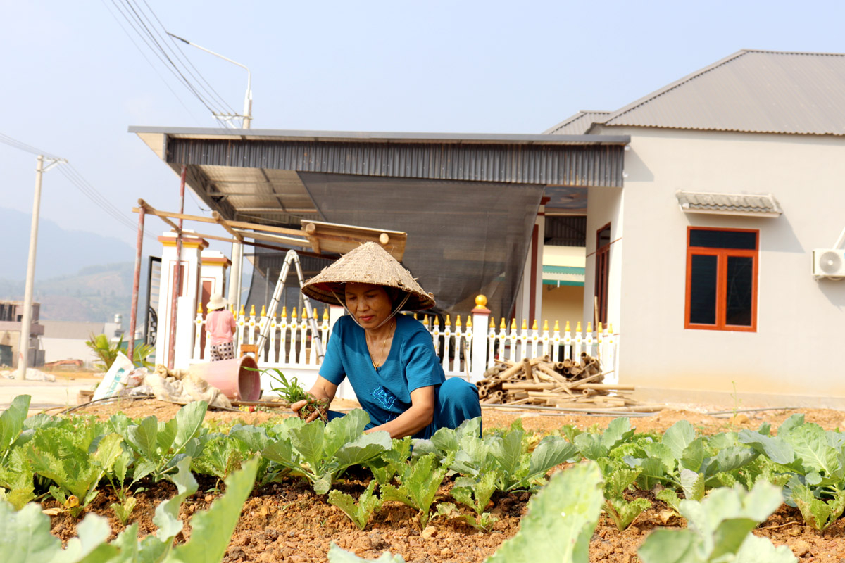 Những mầm xanh của sự sinh sôi, nảy nở đã bén đất Khu tái định cư thôn An Tiến, xã Hùng An