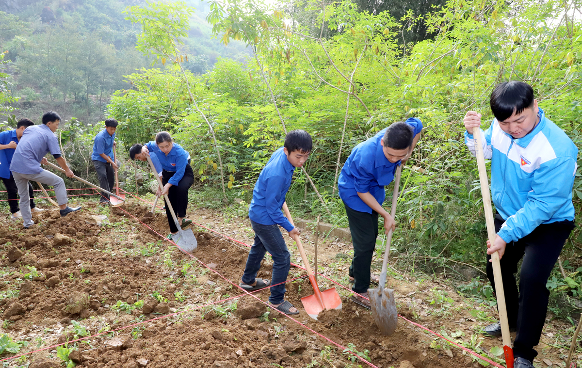 Lực lượng đoàn viên, thanh niên xã Cán Tỷ đào móng giúp gia đình anh Hạng Mí Sử xây nhà mới.