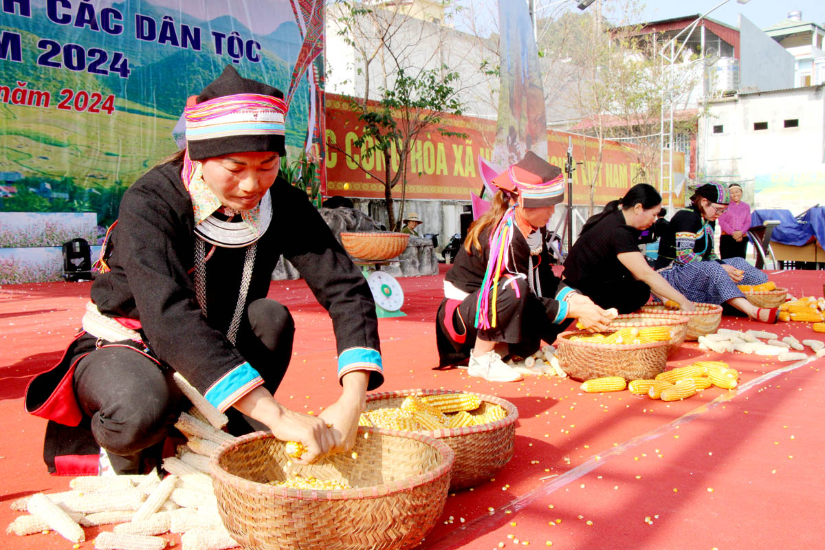 Sau phần vận chuyển ngô, các đội thi tẽ ngô, đội nào tẽ được nhiều ngô nhất sẽ chiến thắng.