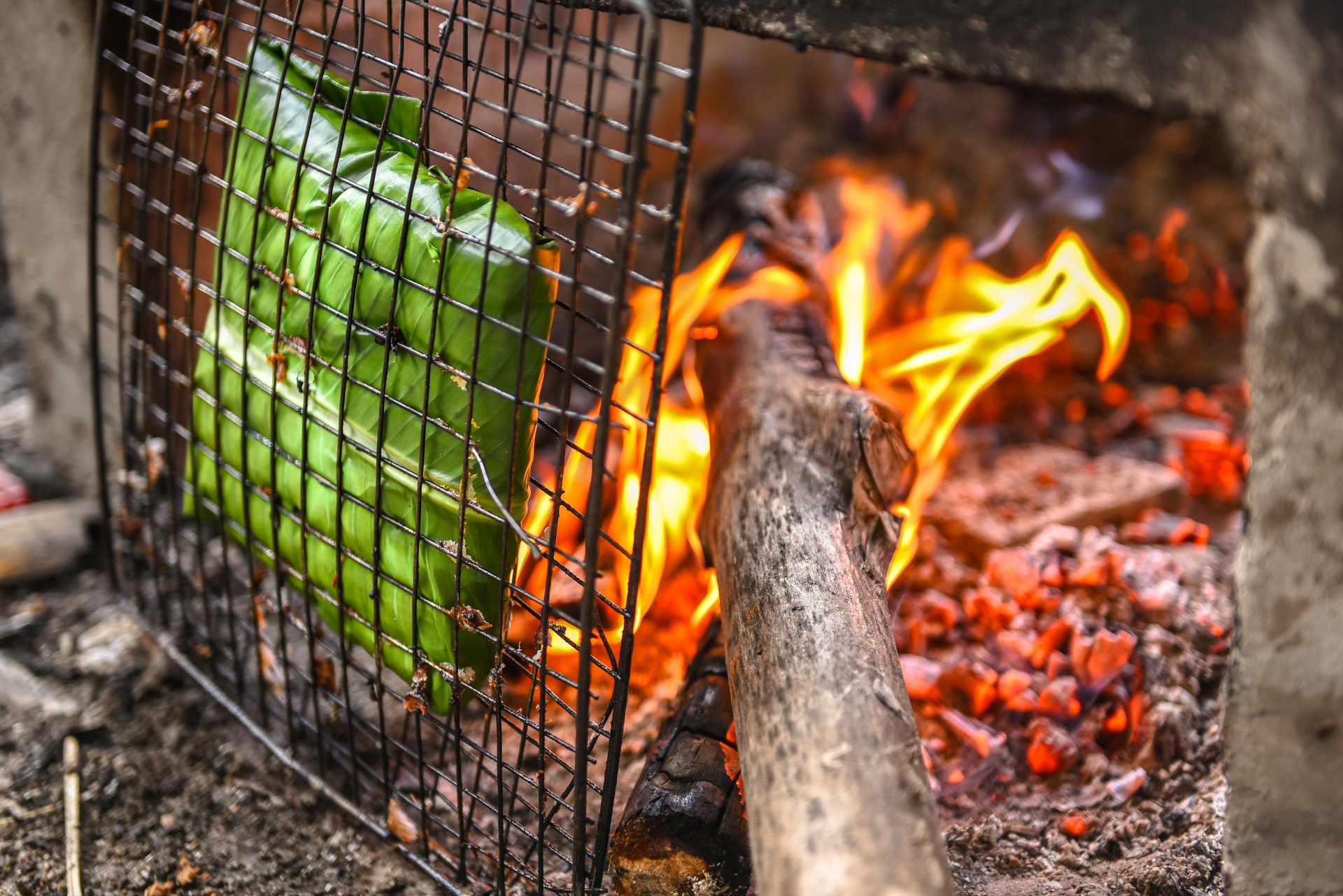 Stone moss is used as an ingredient in many delicious dishes, but the standout dish is grilled stone moss, which was honoured at the First Ha Giang International Culture, Tourism, and Culinary Festival. The moss is torn into pieces, mixed with lemongrass, cilantro, Vietnamese coriander, chives, and ‘doi’ (magnolia seeds), the seasoned with spices and wrapped in banana leaves to be grilled over an open flame.