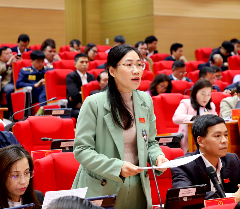 Đại biểu Mua Hồng Sinh, tổ đại biểu huyện Mèo Vạc đề nghị đẩy nhanh tiến độ cấp giấy chứng nhận quyền sử dụng đất; đổi mới, nâng cao chất lượng đào tạo nghề.