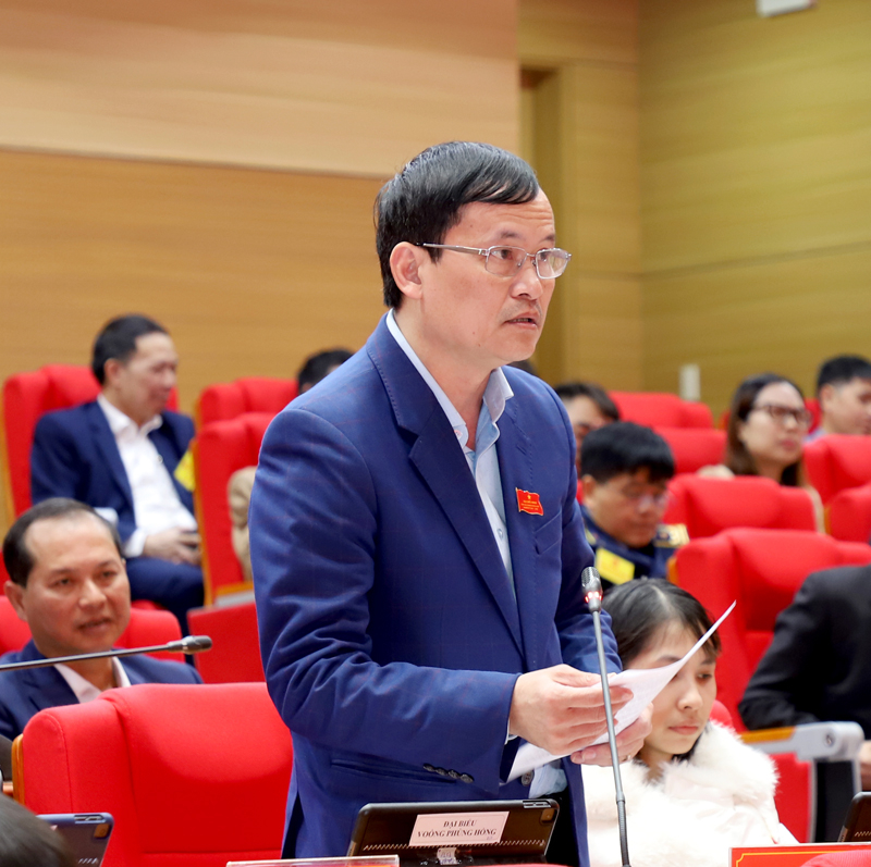 Đại biểu Triệu Tài Phong, tổ đại biểu huyện Quản Bạ đề nghị cần lồng ghép các chương trình đầu tư để thực hiện tiêu chí thôn có điện.