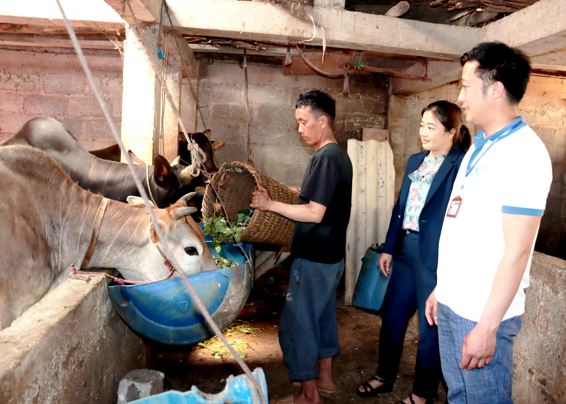 Cán bộ xã Cán Chu Phìn (Mèo Vạc) kiểm tra các mô hình giảm nghèo trên địa bàn.