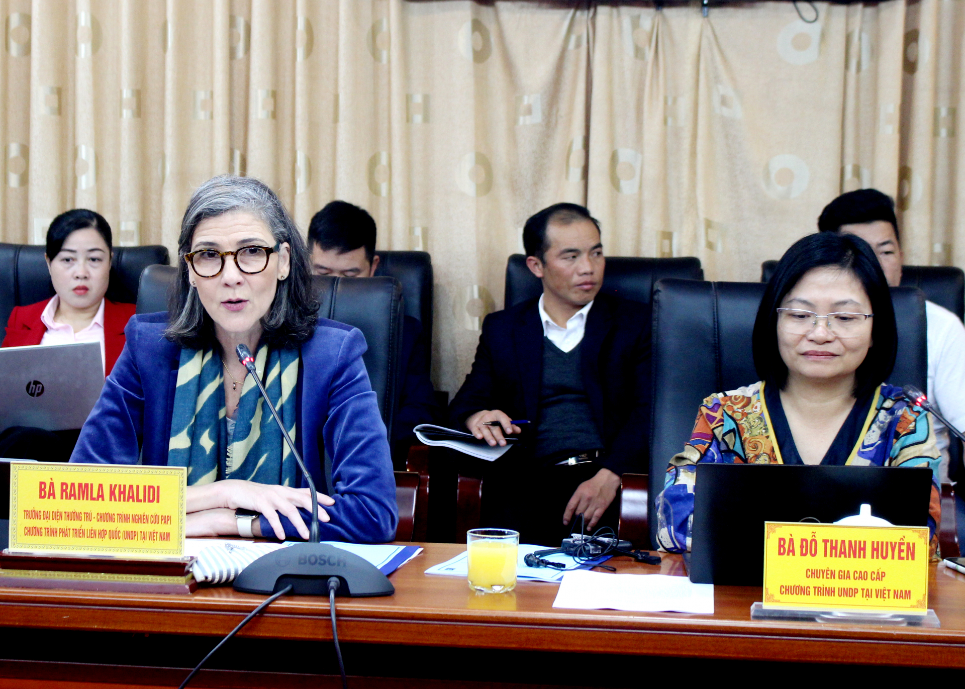 Bà Ramla Khalidi, Trưởng đại diện thường trú UNDP tại Việt Nam phát biểu tại buổi lễ
