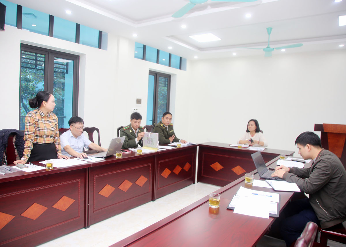 Bà Chu Thị Lan Phương, Phó Giám đốc phụ trách Tài chính Công ty cổ phần Thủy điện Sông Bạc nêu ý kiến tại buổi làm việc.