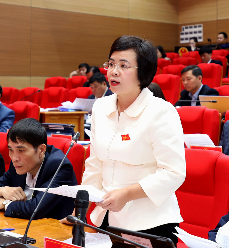 Đại biểu Hoàng Thị Thanh Huyền, tổ đại biểu huyện Vị Xuyên đề nghị cần có chính sách thu hút doanh nghiệp vào chế biến nông sản để đảm bảo tiêu thụ bền vững.