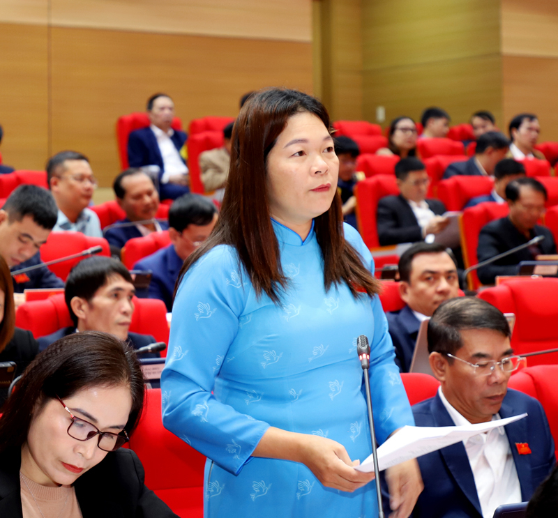 Đại biểu Nùng Thị Sứ, tổ đại biểu huyện Yên Minh đề nghị cần có giải pháp bảo đảm hiệu quả các công trình sau đầu tư.
