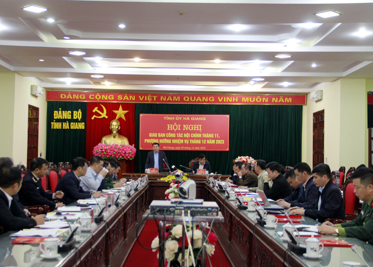 Quyền Bí thư Tỉnh ủy Nguyễn Mạnh Dũng kết luận hội nghị.