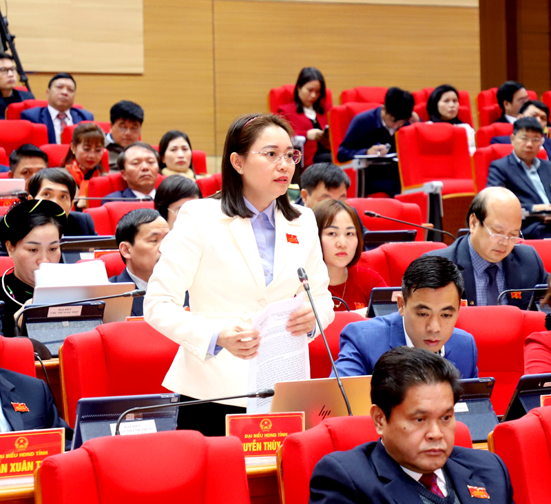 Đại biểu Nguyễn Thùy Linh, Tổ đại biểu huyện Bắc Quang kiến nghị cần thực hiện đúng trình tự thủ tục khi triển khai các dự án.