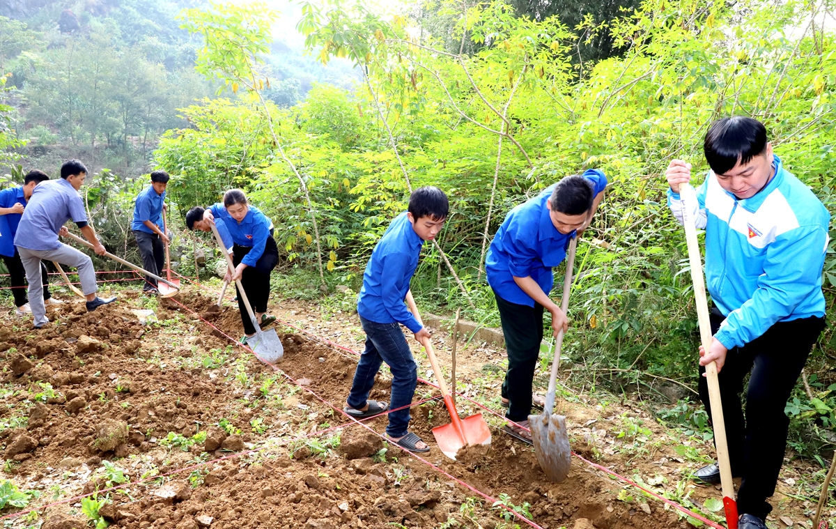 Đoàn viên, thanh niên xã Cán Tỷ (Quản Bạ) đào móng giúp gia đình anh Hạng Mí Sử, thôn Đầu Cầu 1 xây nhà mới.