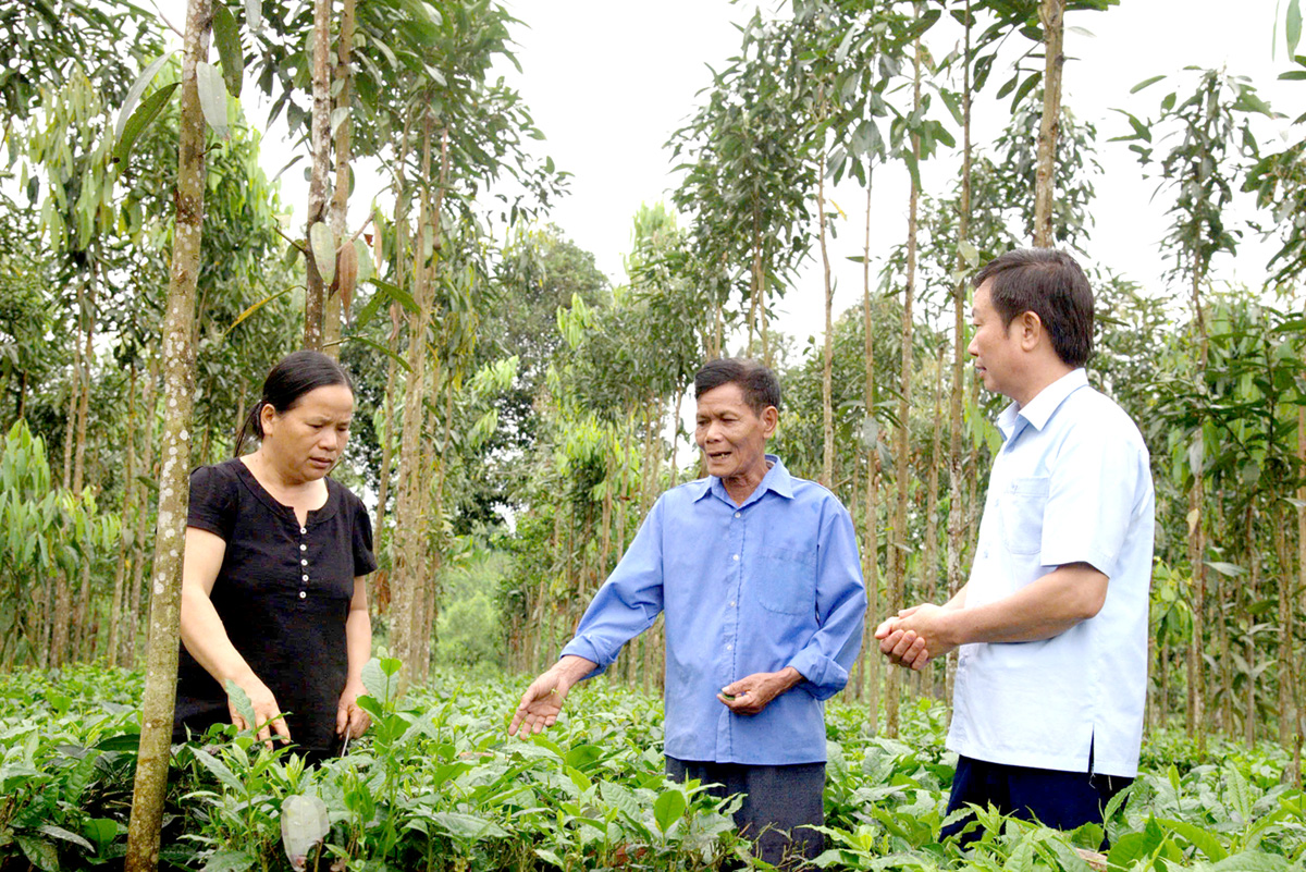 Lãnh đạo Ủy ban MTTQ huyện Quang Bình vận động người dân thôn Tân Bình, xã Yên Bình phát triển kinh tế.