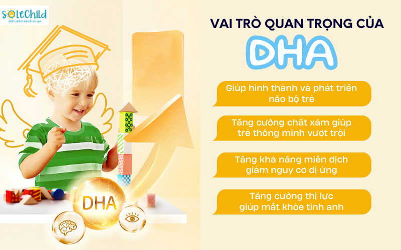 DHA có vai trò quan trọng đối với sự phát triển não bộ của trẻ