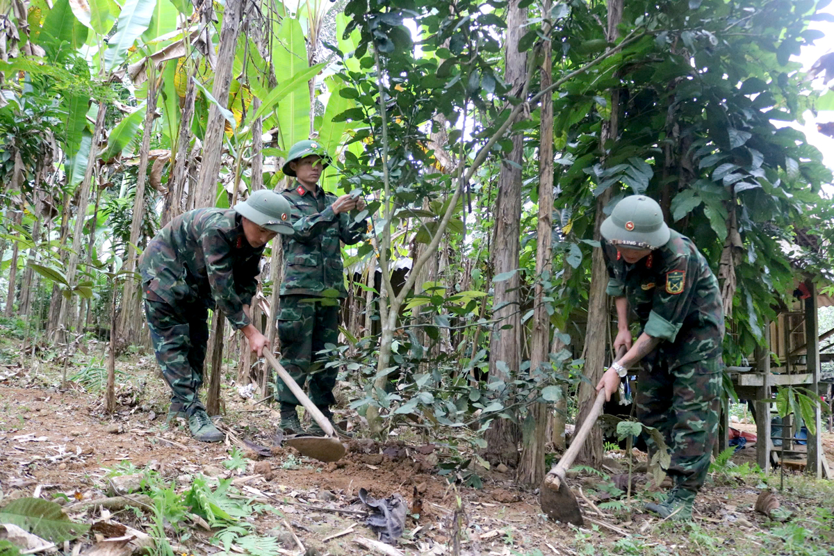 Cán bộ, chiến sỹ Trung đoàn 877 giúp người dân xã Kim Thạch (Vị Xuyên) cải tạo vườn tạp.