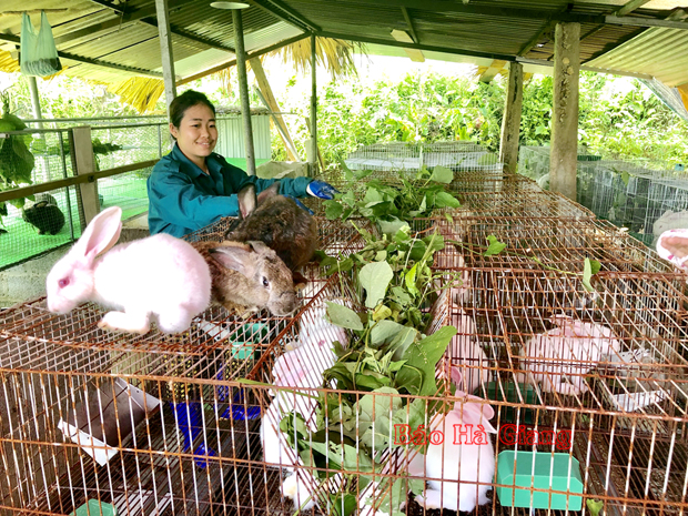 Mặt trận La Ngâu tổ chức đoàn tham quan học tập mô hình chăn nuôi thỏ