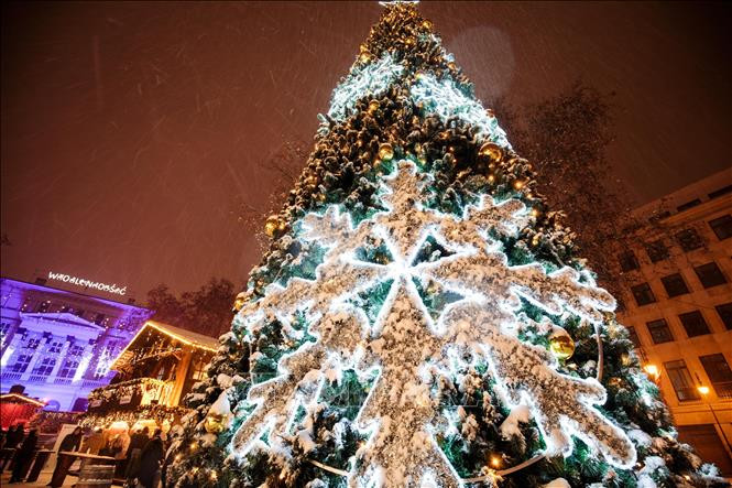 Cây thông Noel được trang hoàng rực rỡ tại chợ Giáng sinh ở Poznan, Ba Lan, ngày 24/12/2021.